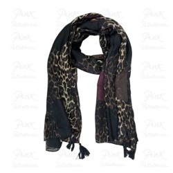 Pashmina Kensington Warwich